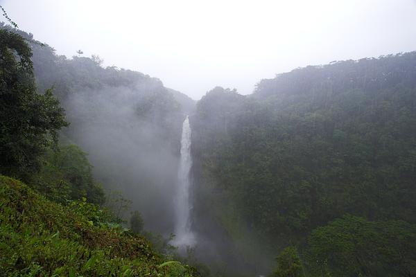 Akaka Falls State Park