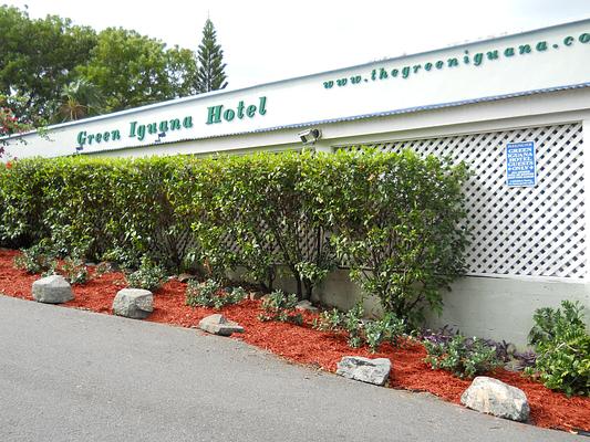 The Green Iguana Hotel
