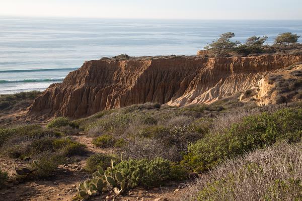 Torrey Pines State Natural Reserve