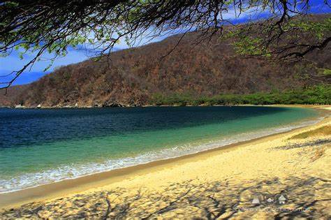 Bahia Concha