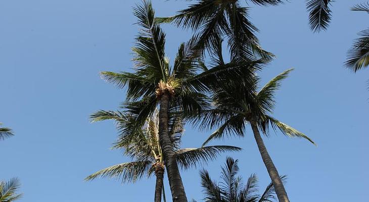 Amari Koh Samui