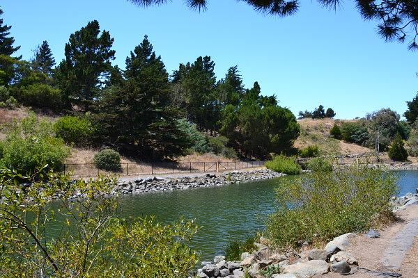 John McLaren Park