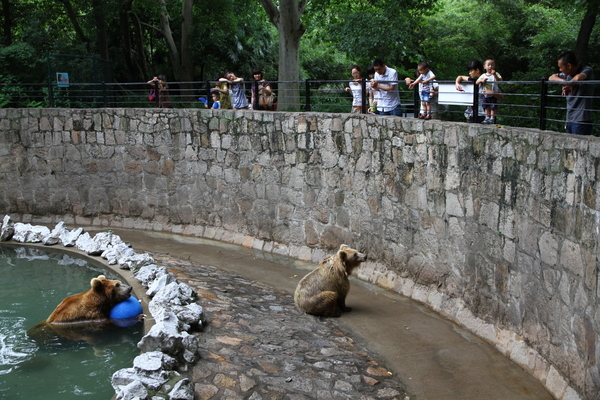 Shanghai Zoo (Shanghai Dongwu Yuan)