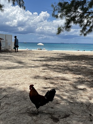 Governors Beach