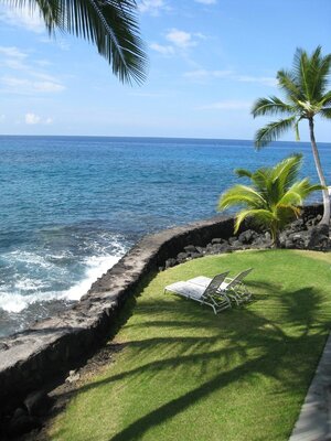 Kona Tiki Hotel