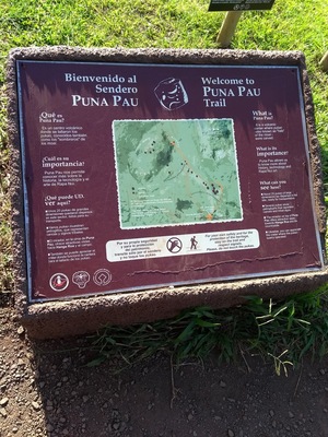 Puna Pau