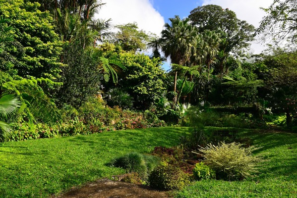 Montreal Gardens