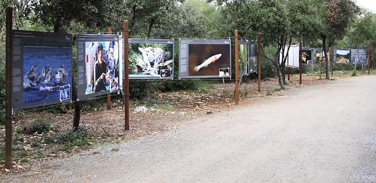 Parc De Lunaret-zoo De Montpellier