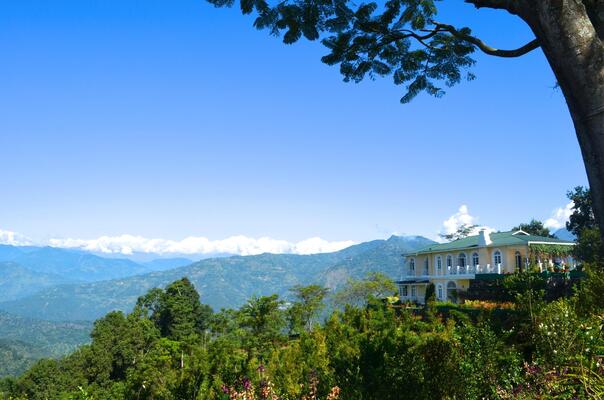 Glenburn Tea Estate