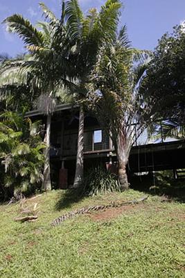 Akoonah Cottages - Byron Bay Hinterland