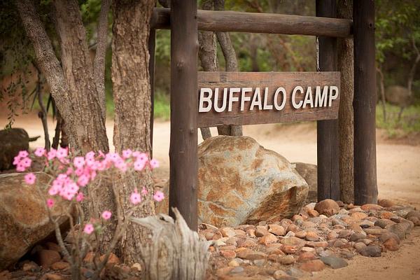 Kapama Buffalo Camp