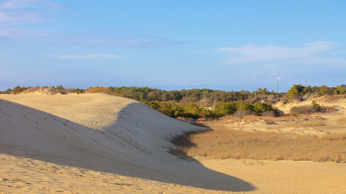 Jockey's Ridge State Park