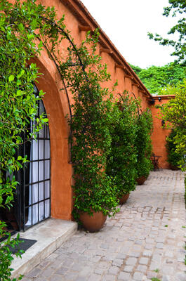 Finca Adalgisa Wine Hotel, Vineyard & Winery