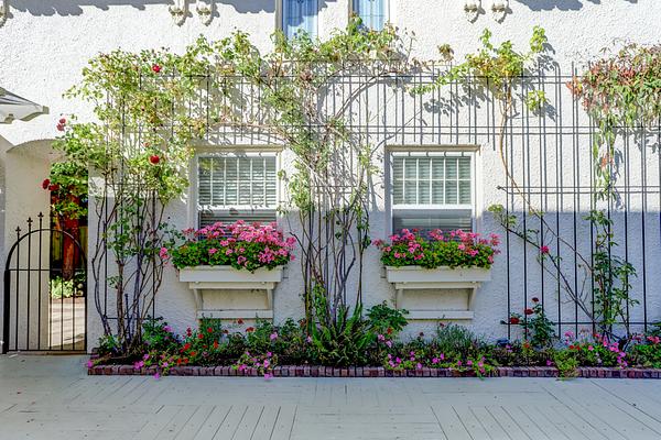 Portland's White House - Bed & Breakfast