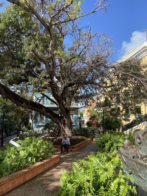 Plaza Felisa Rincon de Gautier