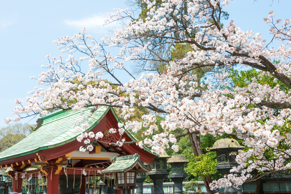 Toshogu Shrine