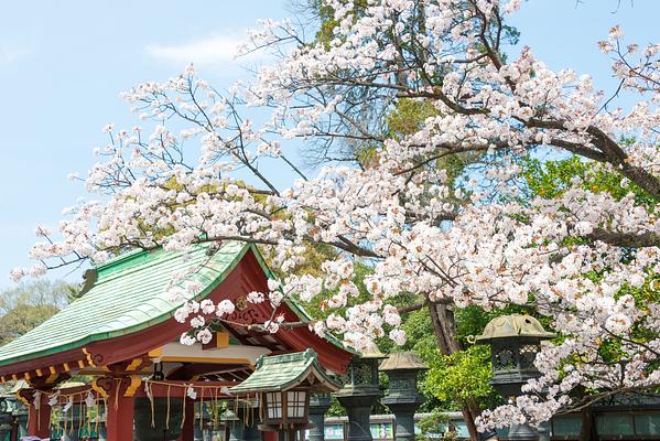 Toshogu Shrine