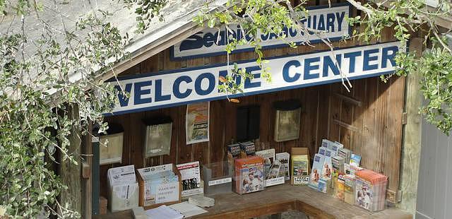 Seaside Seabird Sanctuary