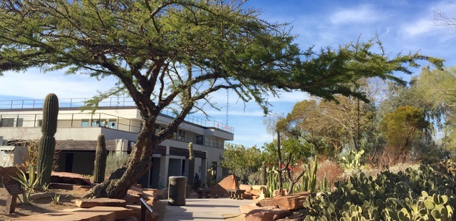 Ethel M Chocolates Factory and Cactus Garden