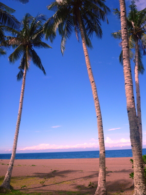 SomeWhere Else Boutique Resort