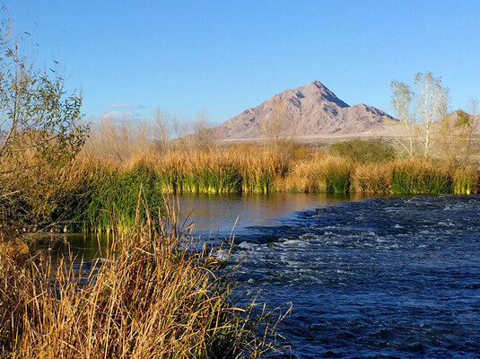 Clark County Wetlands Park