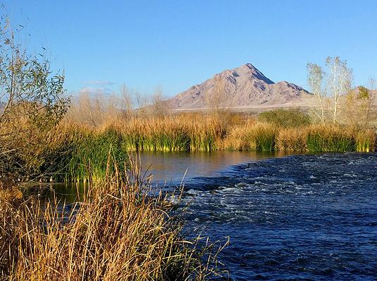 Clark County Wetlands Park