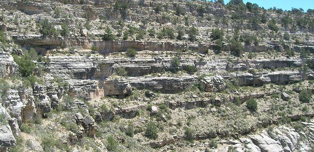 Walnut Canyon Drive