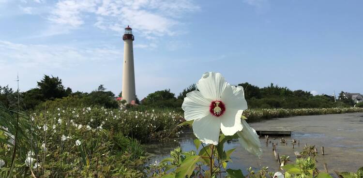 Cape May Point State Park