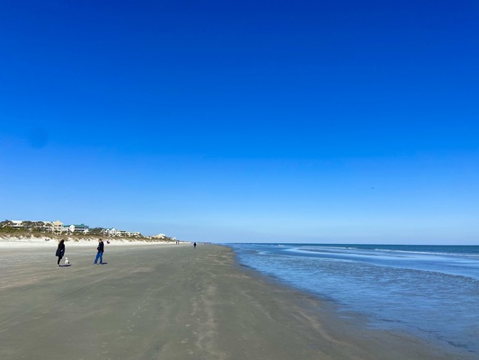 Palmetto Dunes Oceanfront Resort