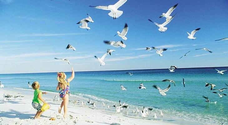 The Beachcomber St. Pete Beach Florida