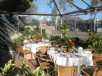 Cava Restaurant & Bar