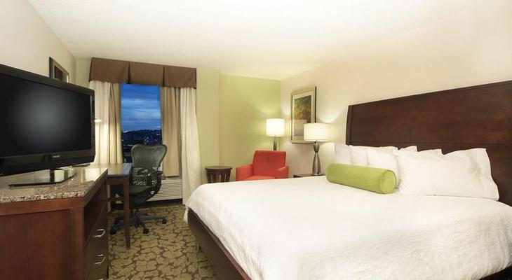 Hilton Garden Inn Pittsburgh University Place