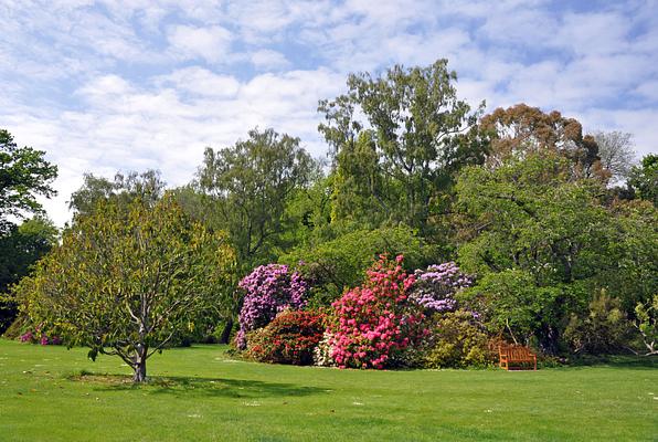 Christchurch Botanic Gardens