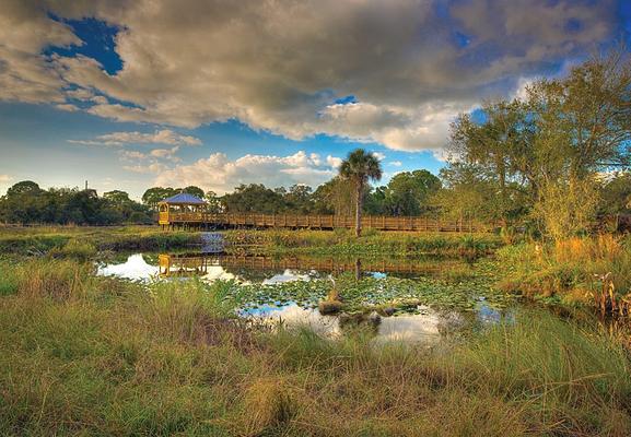 Conservancy of Southwest Florida