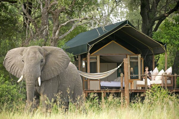 Sanctuary Stanley's Camp
