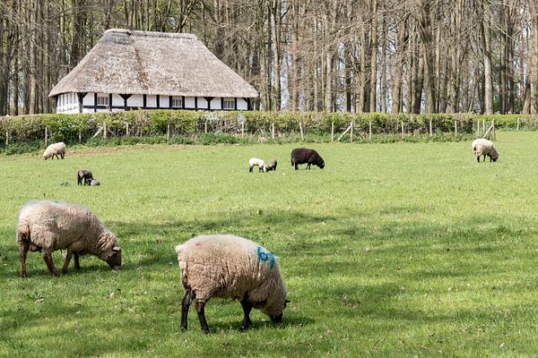 St Fagans National Museum of History