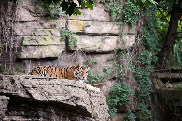 Pittsburgh Zoo & Aquarium