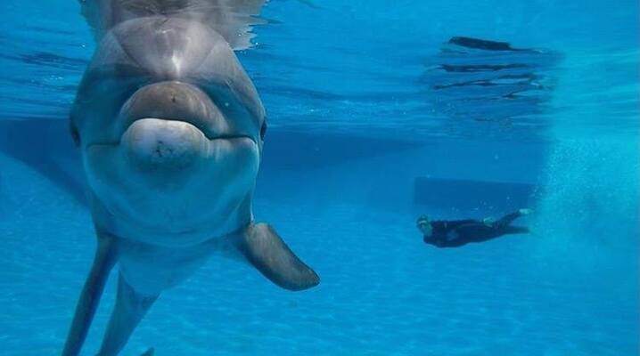 Sea Life Park Hawaii