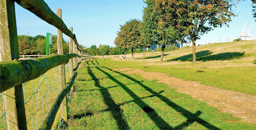 Mudchute Park & Farm