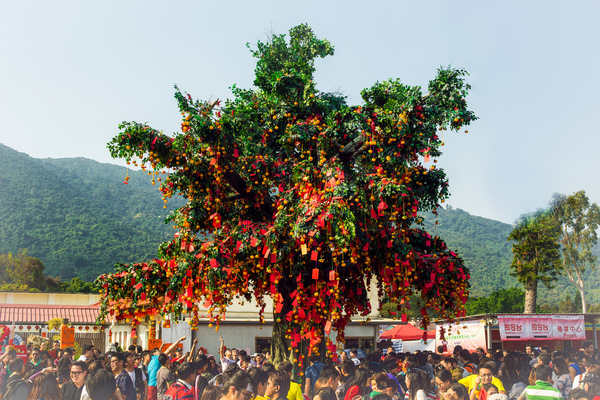 Lam Tsuen Wishing Tree