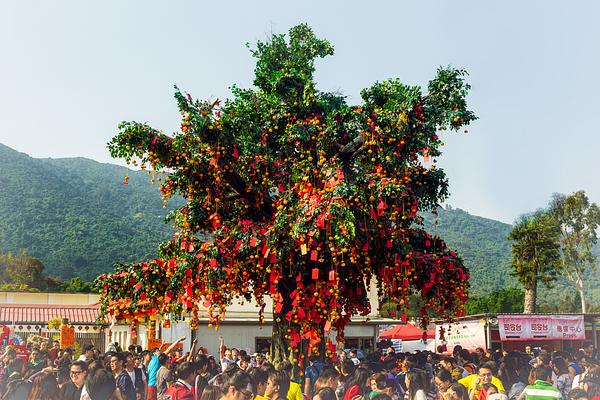 Lam Tsuen Wishing Tree