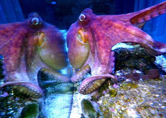 Marine Science Center