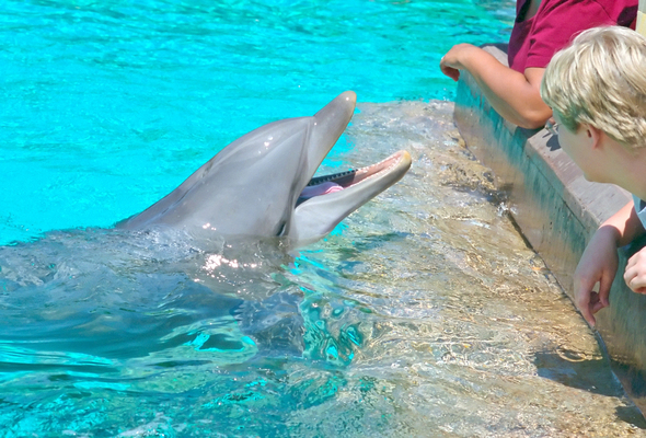 SeaWorld