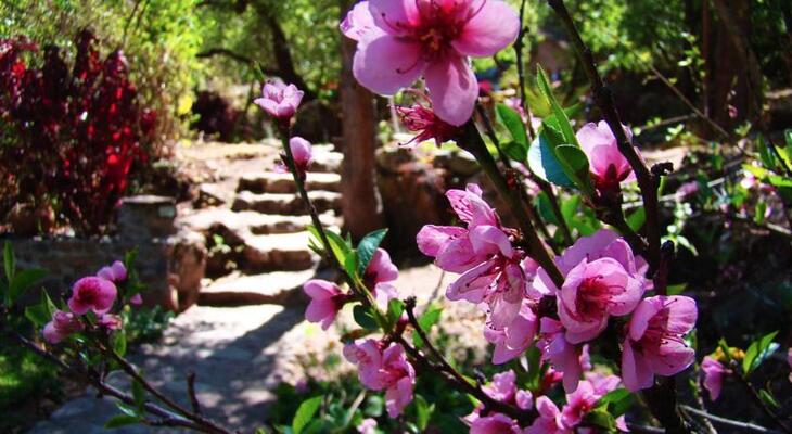 Las Chullpas Eco Lodge