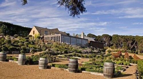 Waiheke Island's top 6 vineyards