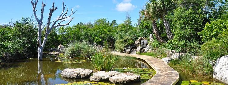 Leon Levy Native Plant Preserve