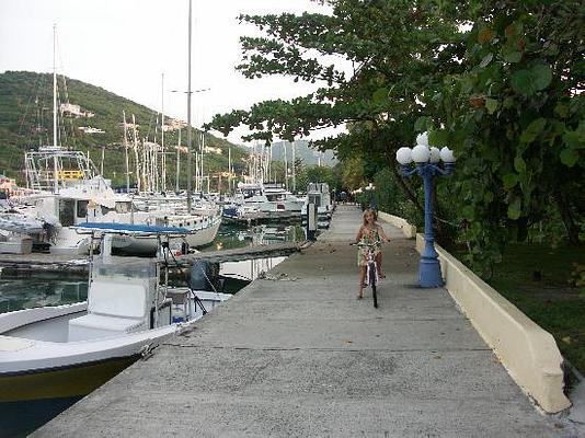 Nanny Cay Resort Marina