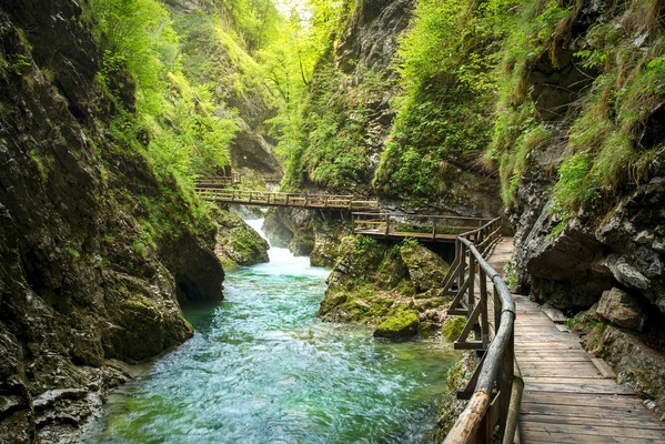 Vintgar Gorge