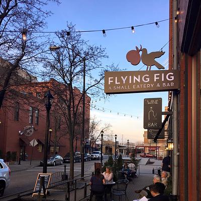 The Flying Fig