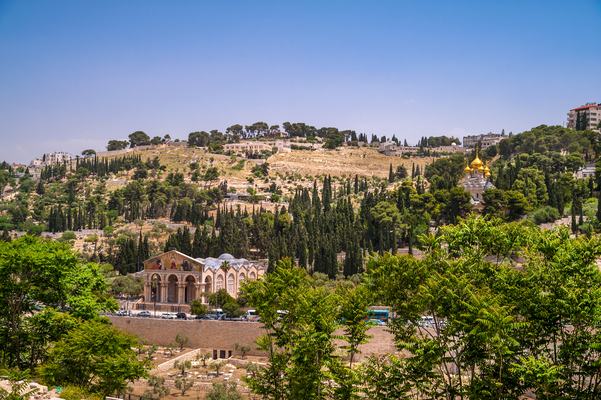 Garden of Gethsemane